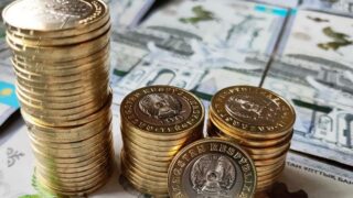 Жемге үйренген торғай: 267 мың теңге масылдықты емдей ме?