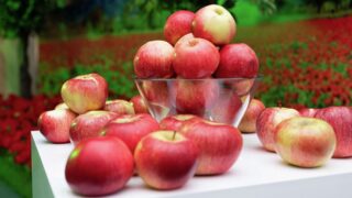 Алматы апорттың тағдырына алаңдайды