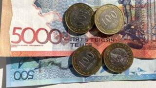 Экономикалық өсімнің  халықтың табысына әсері