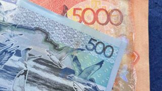 Субсидия: шектегіміз келсе де шектей алмаймыз