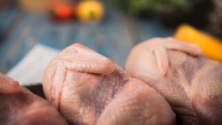 Қазақтар Қытайға тауық етін жеткізеді