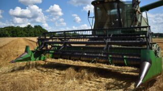 Аграршыларға жаңа сақтандыру қызметі ұсынылды