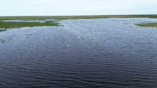 Бақытжан Базарбек су қорының бір бөлігі жеке қолға өтіп кеткенін  ашып айтты  